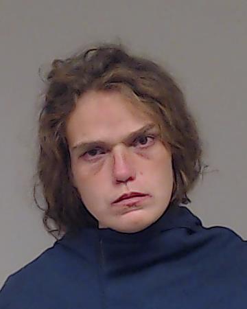 Hendrickson, Cheyenna Dawn arrested by Collin County SO