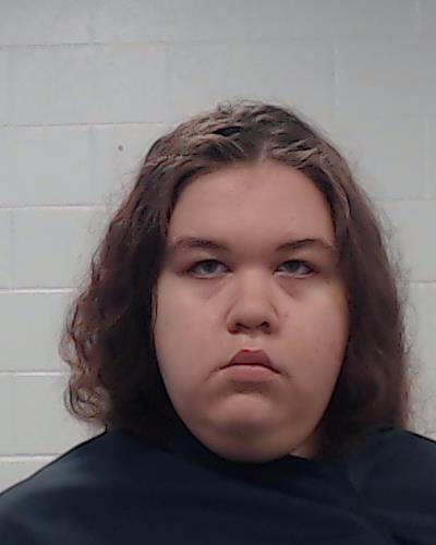 Saettler, Courtney Lorene booking photo