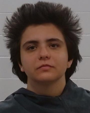 Khashab, Katrina Marie arrested by Collin County SO