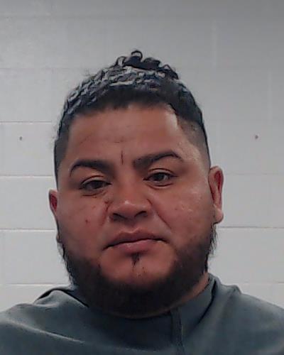 Zelaya Mejia, Wilmer booking photo