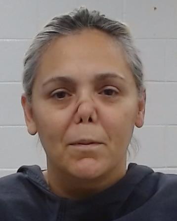 Wanko, Lisa Marie arrested by Collin County SO