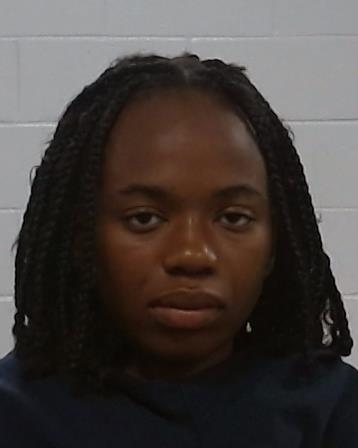 Delice, Schnaily arrested by Collin County SO