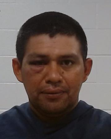 Pineda Dominguez, Roberto Arturo arrested by Collin County SO