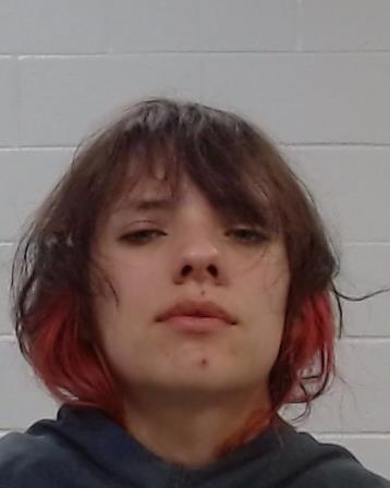 RAJASALU, JORDAN GABRIELLE arrested by Collin County SO