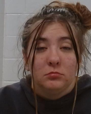 Brown, Annabelle Jane arrested by Collin County SO