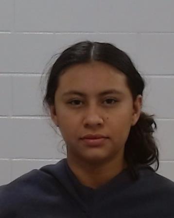 Varela Elizondo, Lisbeth Dariela arrested by Collin County SO