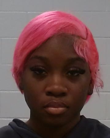 Shei, Sharlyn Ngono arrested by Collin County SO