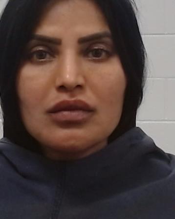 Rapaka, Sreee arrested by Collin County SO