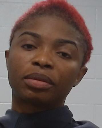 Lewis, Rukayat arrested by Collin County SO