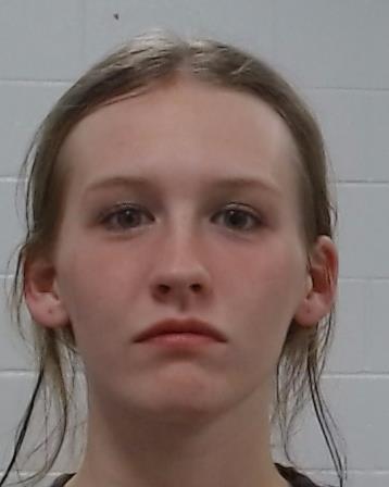 Sutton, Sarah Elizabeth arrested by Collin County SO