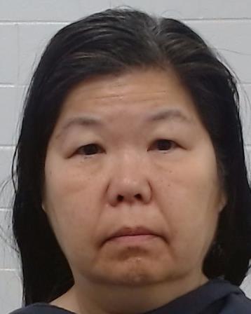 Tower, Alisa arrested by Collin County SO