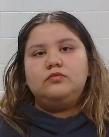 Castillo, Jennifer Denisse arrested by Collin County SO