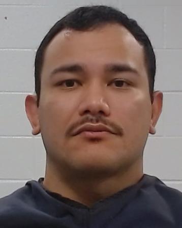 Ferreira Da Silva, Max Danrley booking photo