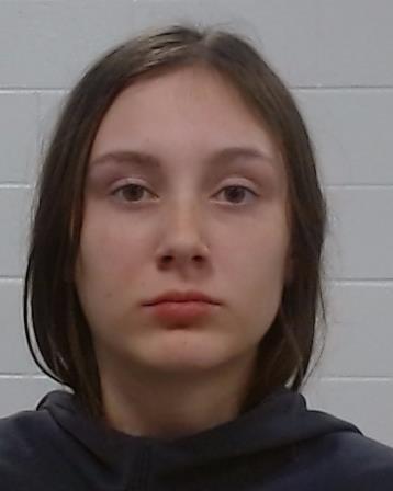 Knopp, Anna Reese arrested by Collin County SO