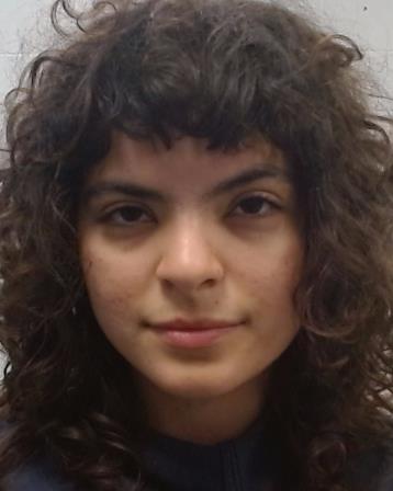 Bravo Romero, Anabella C arrested by Collin County SO