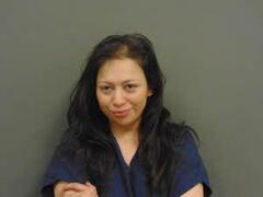 YAJAIRA REYES arrested by MILAM CO SO CAMERON – TX1660000