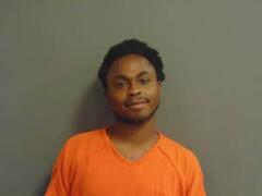 TEVIN MITCHELL arrested by MILAM CO SO CAMERON – TX1660000