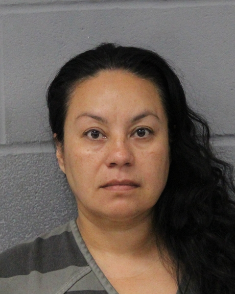 IVONNE ZARAZA booking photo