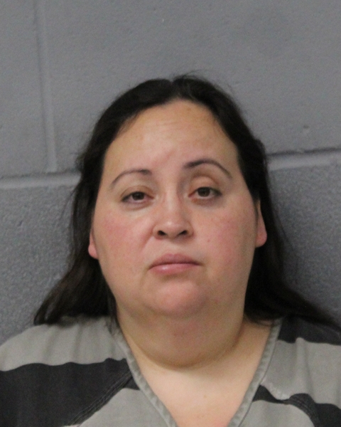 YESENIA ROCHA booking photo