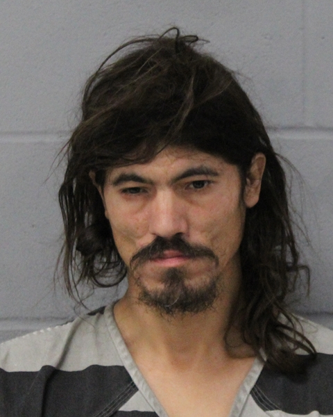 JAMES HANSON booking photo