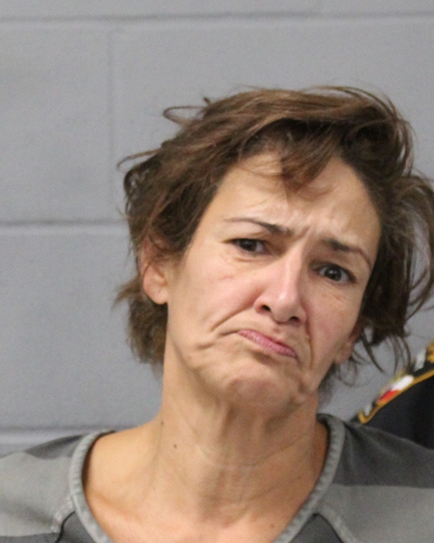 TERESA MENENDEZ booking photo
