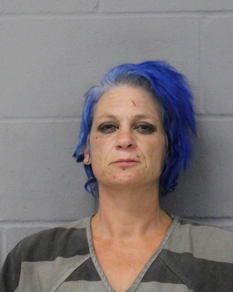 SUSAN HOULE arrested in Austin, Texas