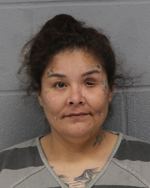 AMANDA ZUNIGA-CRISOSTOMO booking photo