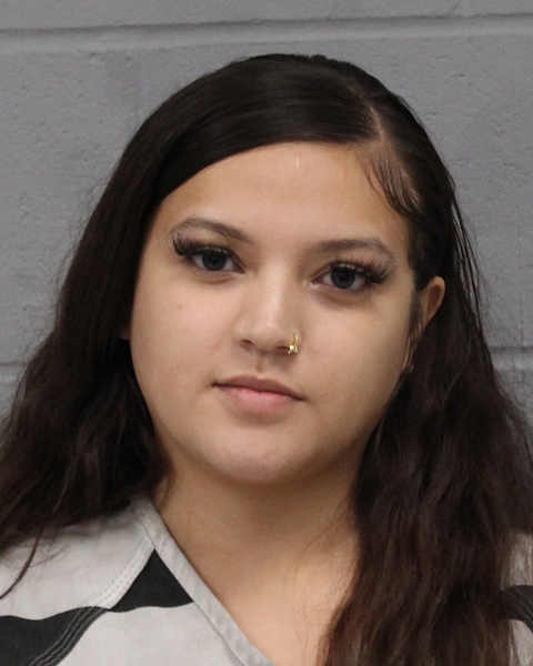 ALYSON HERNANDEZ arrested in Austin, Texas