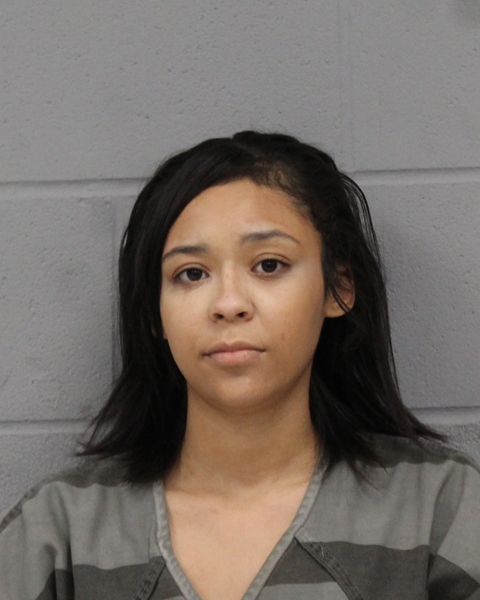 AUBRIELLE MCKINNEY booking photo