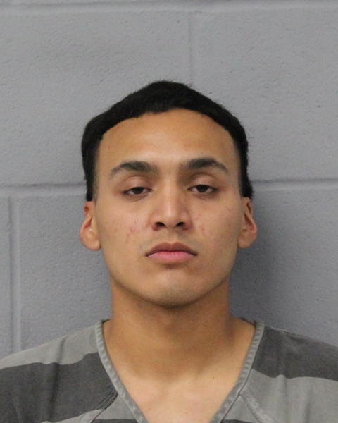 VINCENT REVELES booking photo