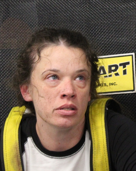 KELLY MAASS booking photo