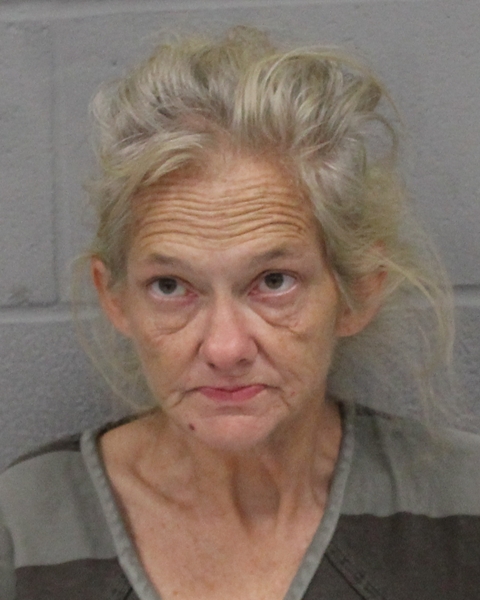 ELIZABETH MASSEY booking photo