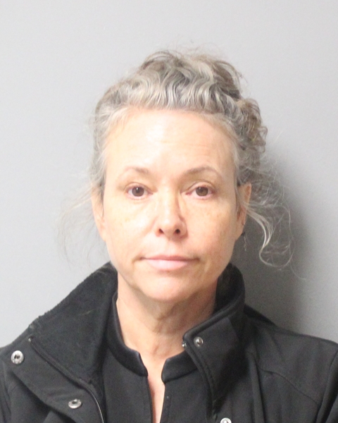 ELISABETH SANTELLANA booking photo