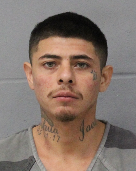 ALEX JAIMES-CASTRO booking photo