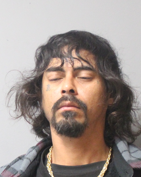 PATRICK LUNA booking photo