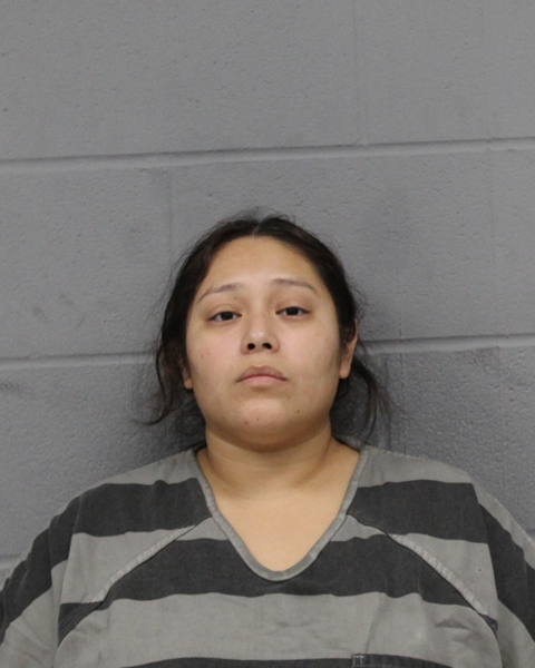 LILLY PIZARRA-HUITRON booking photo