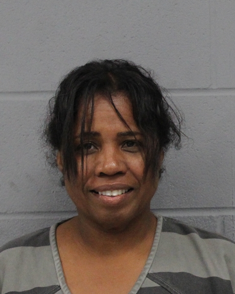 ROBIN LEVESTON arrested in Austin, Texas