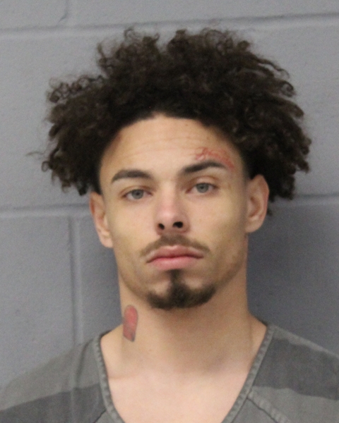 LENDELL STEVENSON booking photo