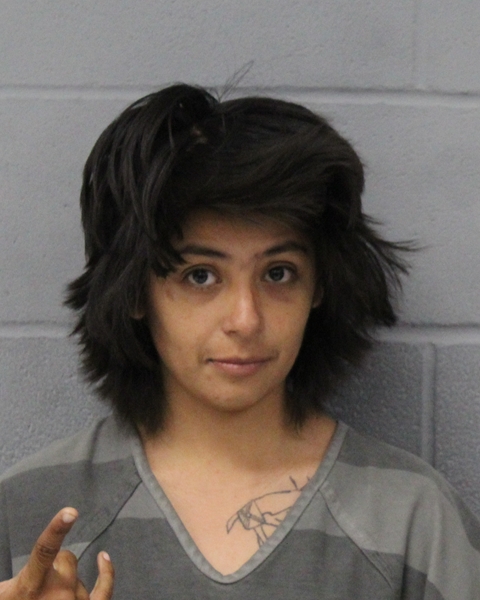 PRISCILLA TOVAR booking photo