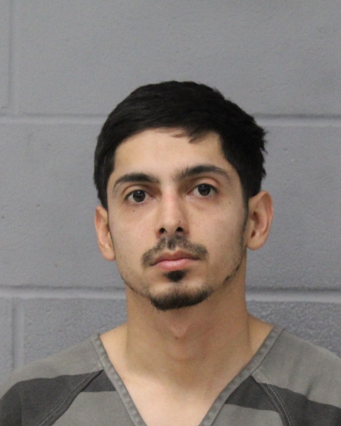 LEE HERNANDEZ booking photo