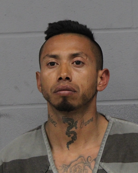DARWIN MENDEZ booking photo