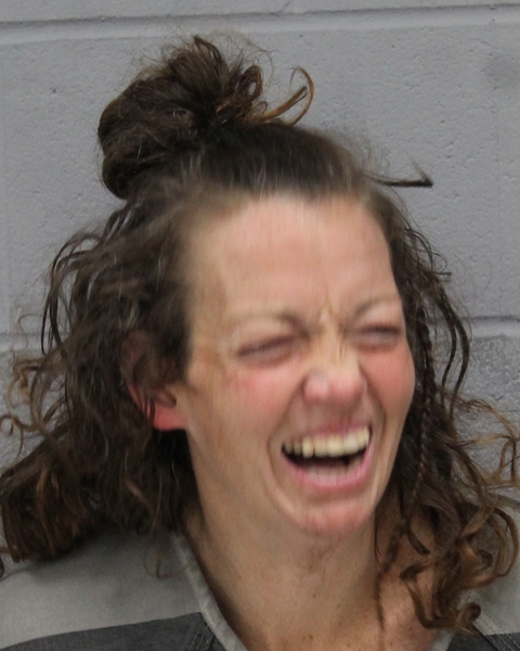 JESSICA WHITESIDE booking photo