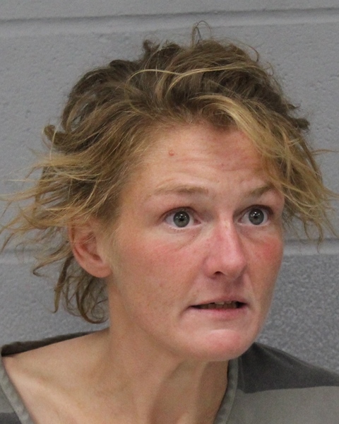 ALEXANDRIA FETTERLY booking photo