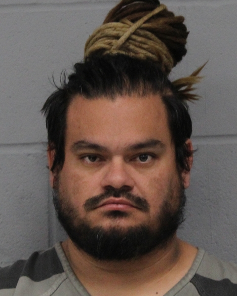 MANUEL BORGE booking photo