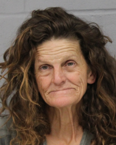 LINDA DOOLEY arrested in Austin, Texas