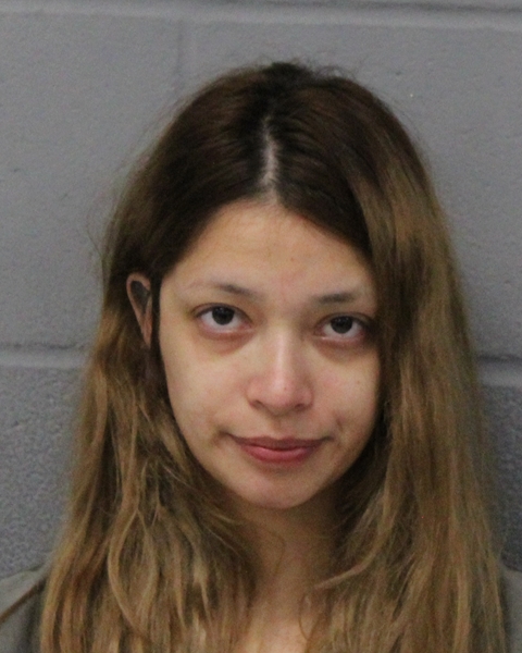 JAYLYNN ROCHA booking photo
