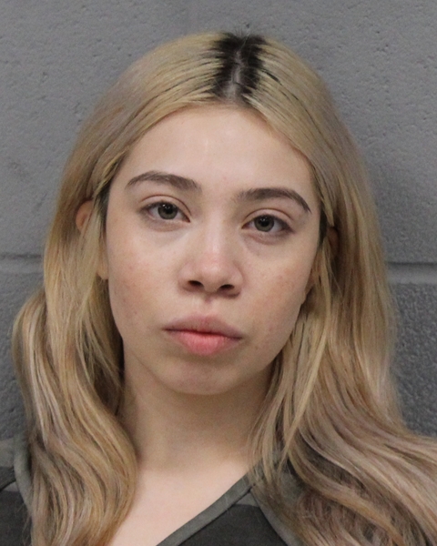 YADURI BONILLA booking photo