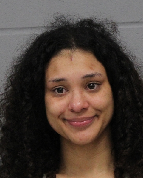 ADRIANNA JOHNSON booking photo