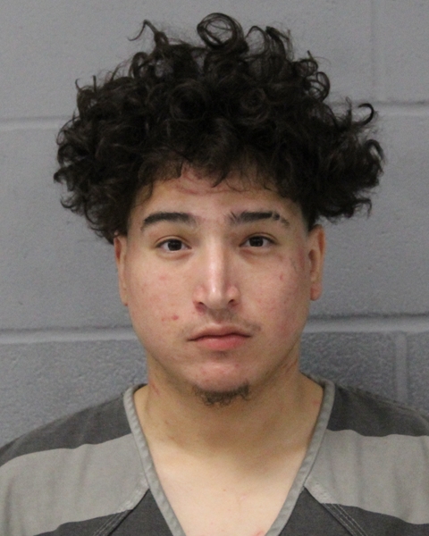 NOE SMALL booking photo
