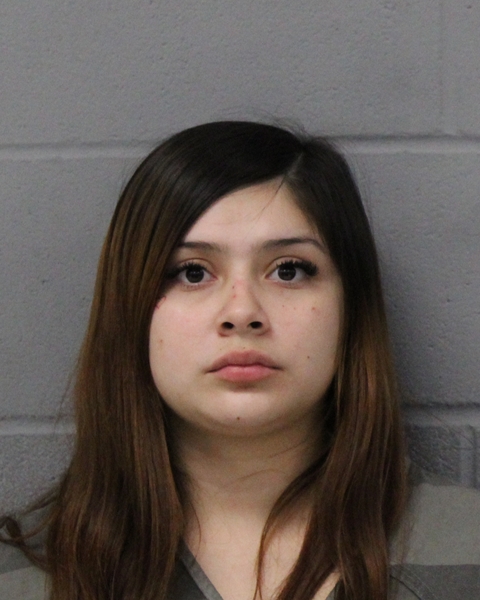 ALEXIS MARTINEZ booking photo